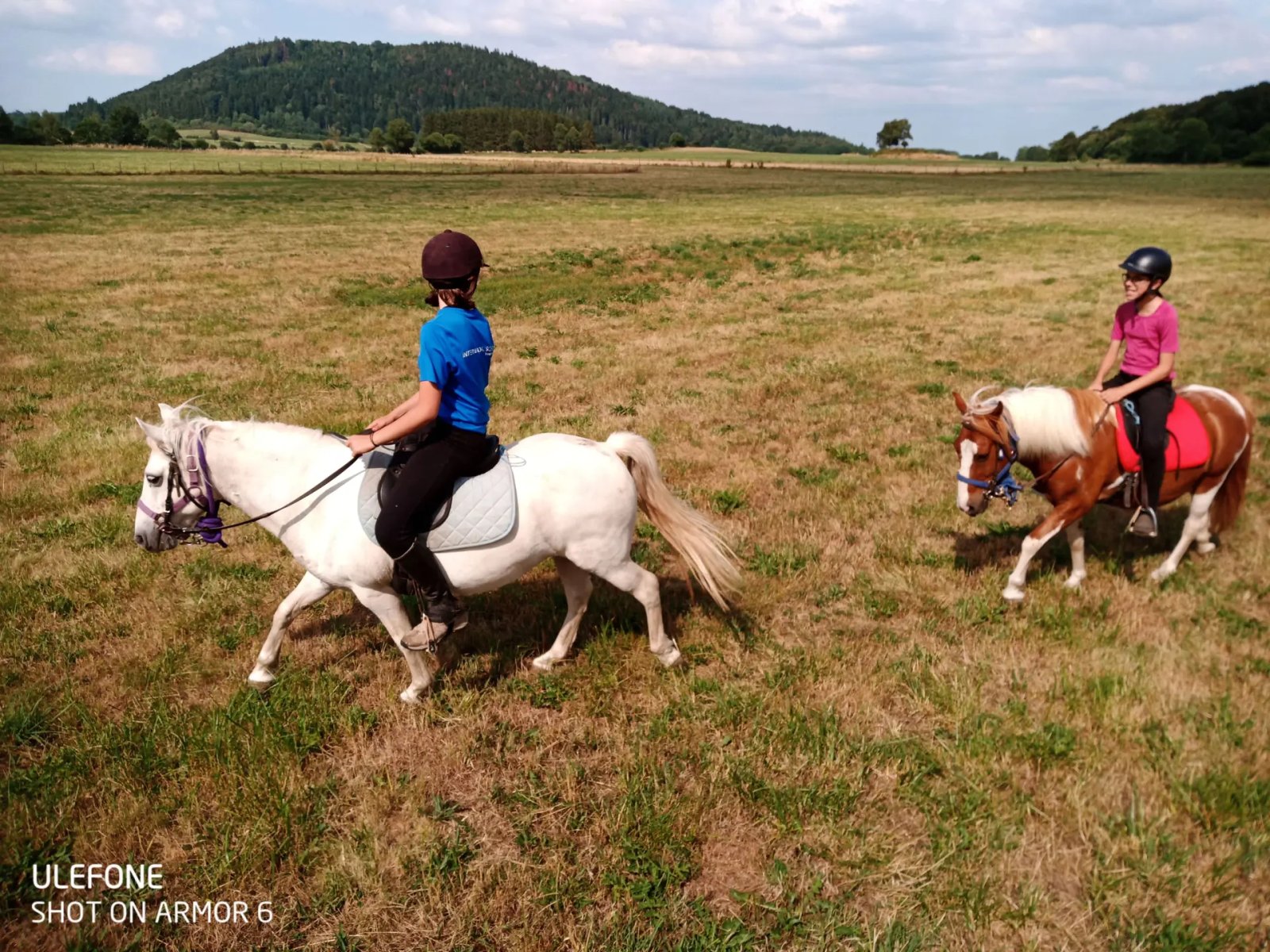 Balade a poney les animaux sauvages, Volvic